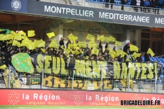 Montpellier-FCN2c