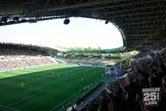 FCN-Rennes-10
