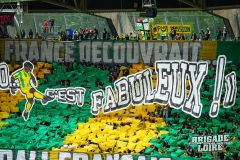 FCN-Angers-09