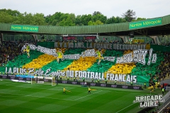 FCN-Angers-10