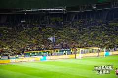 FCN-PSG-13