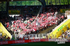 FCN-Auxerre-08