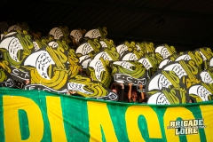 Guingamp-FCN-17