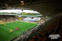 FCN-Reims-13