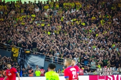 FCN-PSG-06
