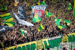 FCN-Rennes-31