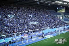 Strasbourg-FCN-06