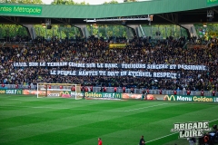 FCN-Toulouse-09