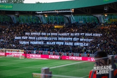 FCN-Toulouse-14